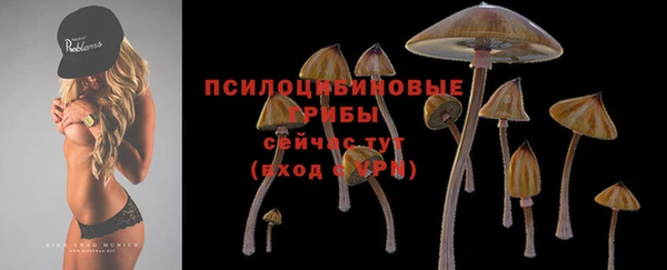 PSILOCYBIN Арсеньев